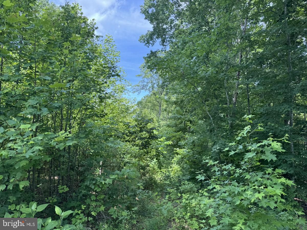 SANDY TRAIL, VERNON HILL, Virginia 24597, ,Land,For sale,SANDY TRAIL,VAHX2000108 MLS # VAHX2000108