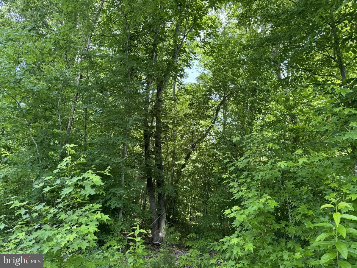 SANDY TRAIL, VERNON HILL, Virginia 24597, ,Land,For sale,SANDY TRAIL,VAHX2000108 MLS # VAHX2000108