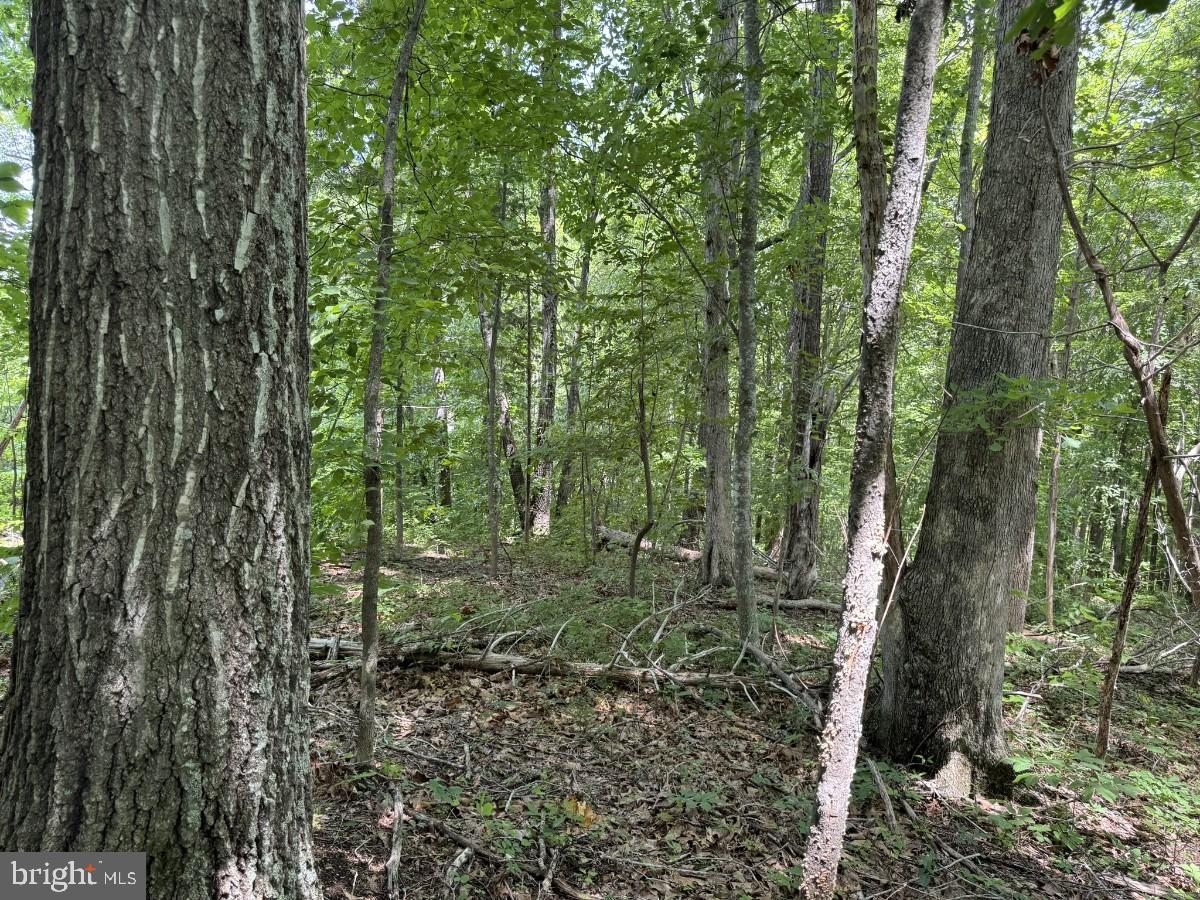 SANDY TRAIL, VERNON HILL, Virginia 24597, ,Land,For sale,SANDY TRAIL,VAHX2000108 MLS # VAHX2000108