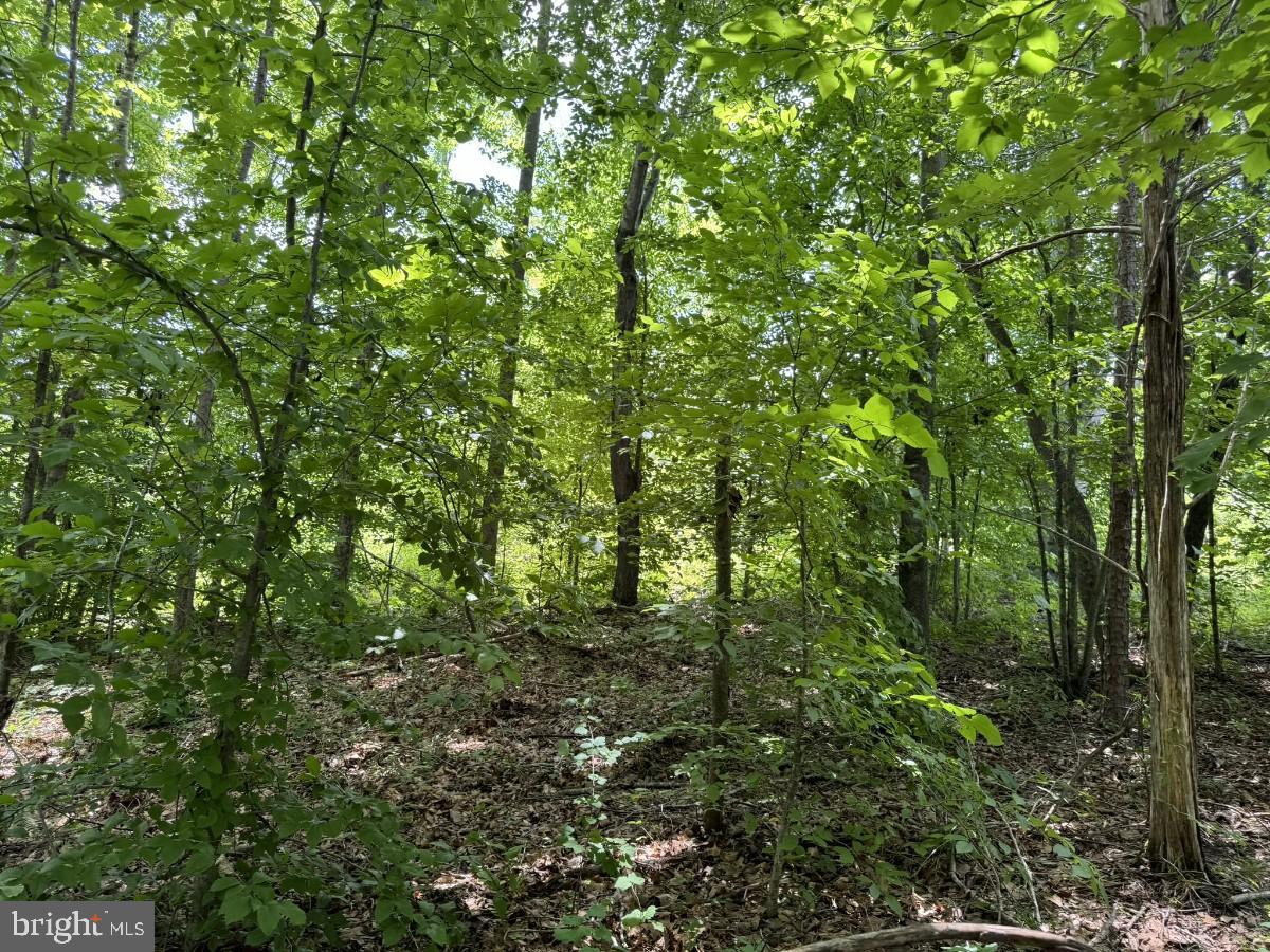 SANDY TRAIL, VERNON HILL, Virginia 24597, ,Land,For sale,SANDY TRAIL,VAHX2000108 MLS # VAHX2000108