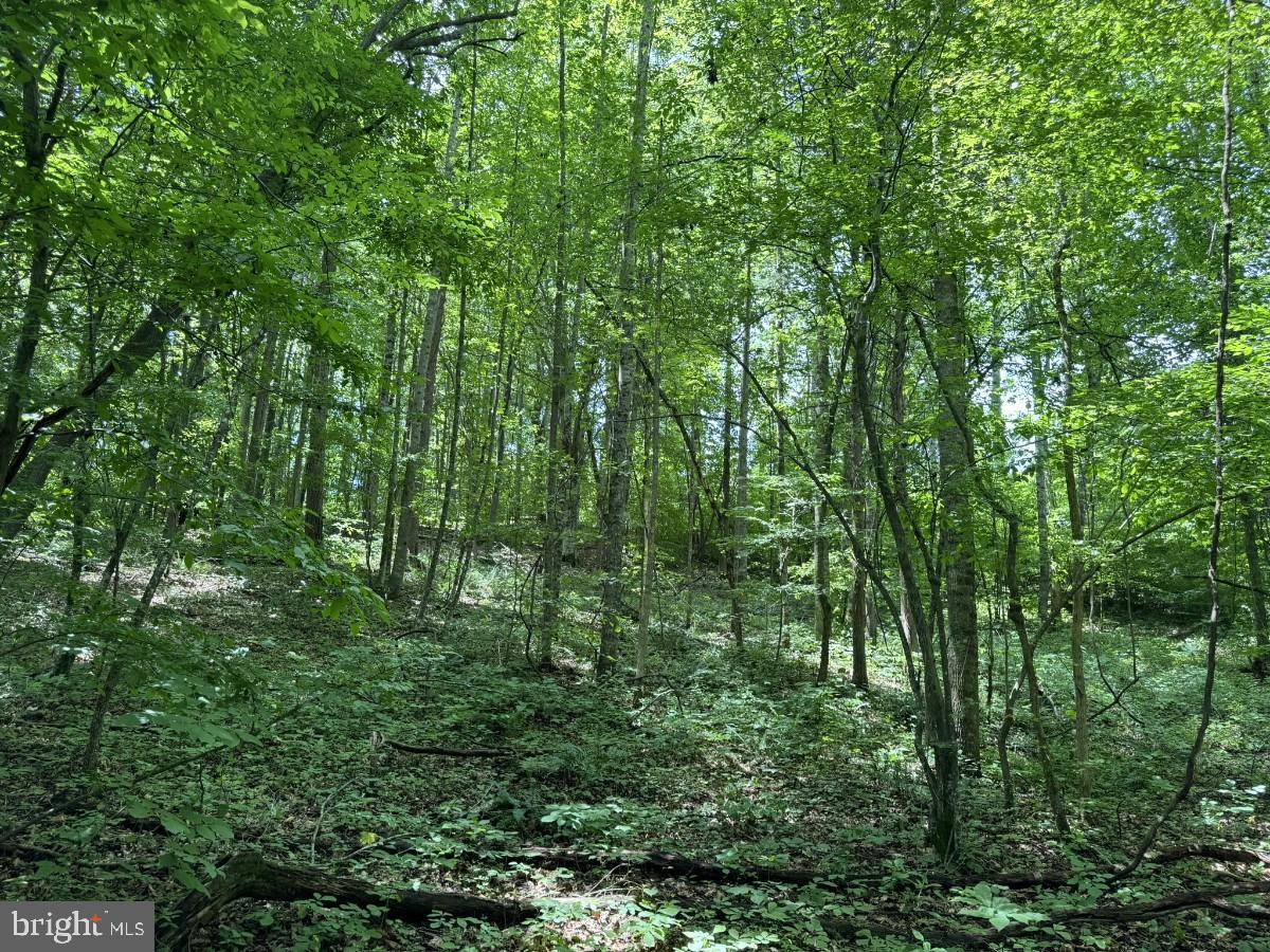 SANDY TRAIL, VERNON HILL, Virginia 24597, ,Land,For sale,SANDY TRAIL,VAHX2000108 MLS # VAHX2000108