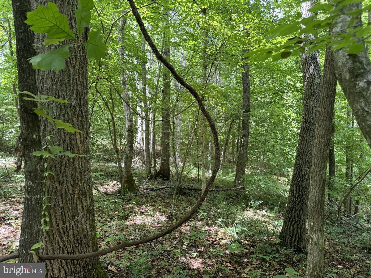SANDY TRAIL, VERNON HILL, Virginia 24597, ,Land,For sale,SANDY TRAIL,VAHX2000108 MLS # VAHX2000108