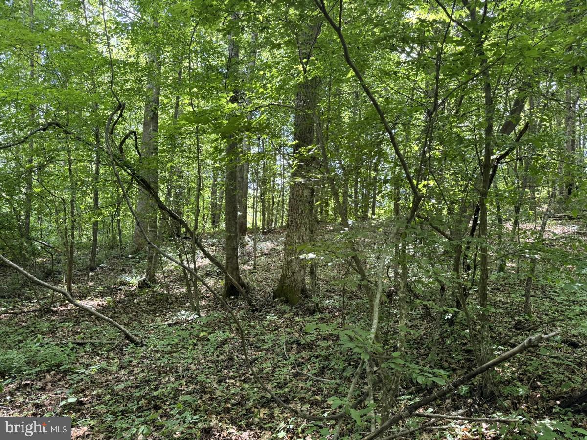 SANDY TRAIL, VERNON HILL, Virginia 24597, ,Land,For sale,SANDY TRAIL,VAHX2000108 MLS # VAHX2000108