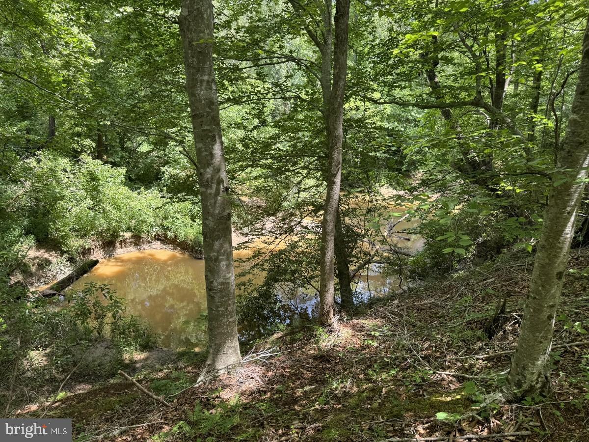 SANDY TRAIL, VERNON HILL, Virginia 24597, ,Land,For sale,SANDY TRAIL,VAHX2000108 MLS # VAHX2000108