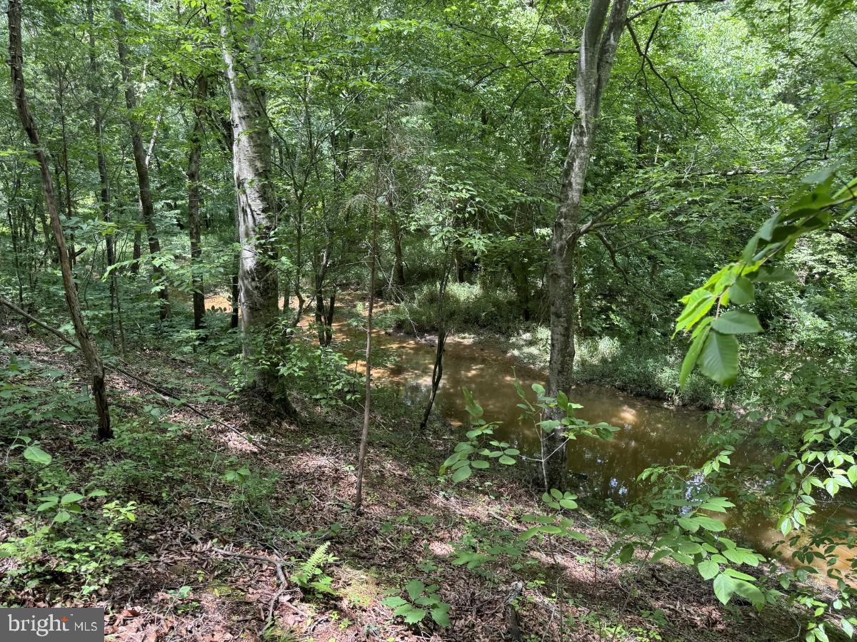 SANDY TRAIL, VERNON HILL, Virginia 24597, ,Land,For sale,SANDY TRAIL,VAHX2000108 MLS # VAHX2000108