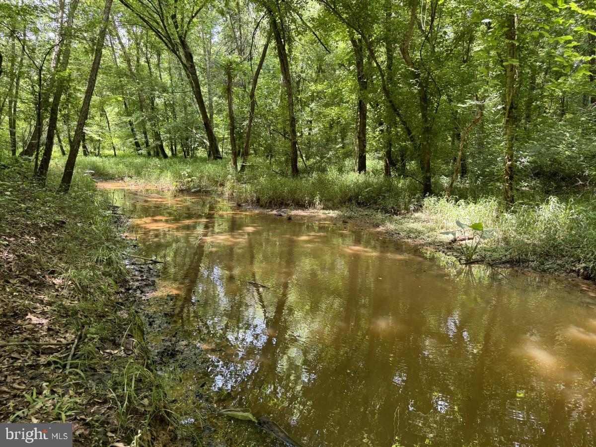 SANDY TRAIL, VERNON HILL, Virginia 24597, ,Land,For sale,SANDY TRAIL,VAHX2000108 MLS # VAHX2000108