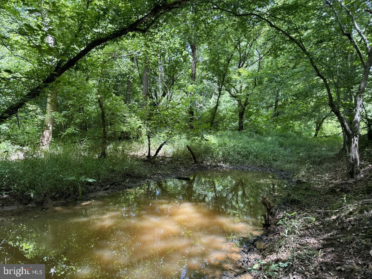 SANDY TRAIL, VERNON HILL, Virginia 24597, ,Land,For sale,SANDY TRAIL,VAHX2000108 MLS # VAHX2000108