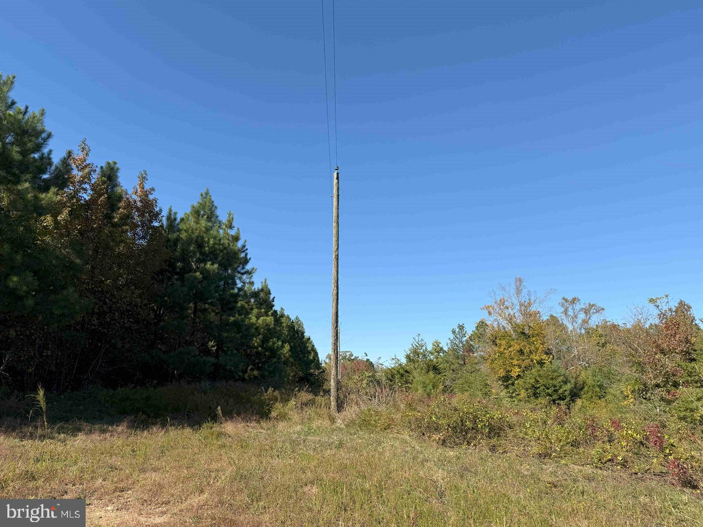 WOODFORK ROAD (RT. 650) (TRACT ROGERS-2), CHARLOTTE COURT HOUSE, Virginia 23923, ,Farm,For sale,WOODFORK ROAD (RT. 650) (TRACT ROGERS-2),VACE2000024 MLS # VACE2000024