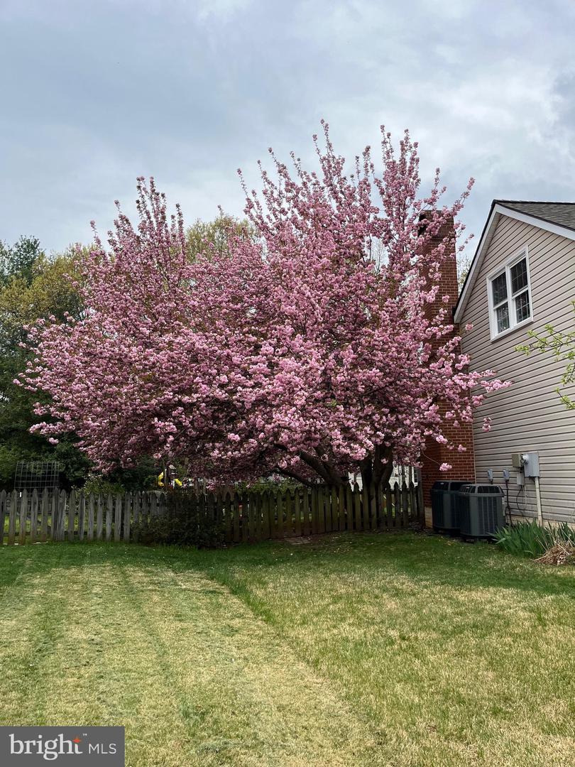 6120 N DANFORD ST, FREDERICKSBURG, Virginia 22407, 4 Bedrooms Bedrooms, ,3 BathroomsBathrooms,Residential,For sale,6120 N DANFORD ST,VASP2033898 MLS # VASP2033898