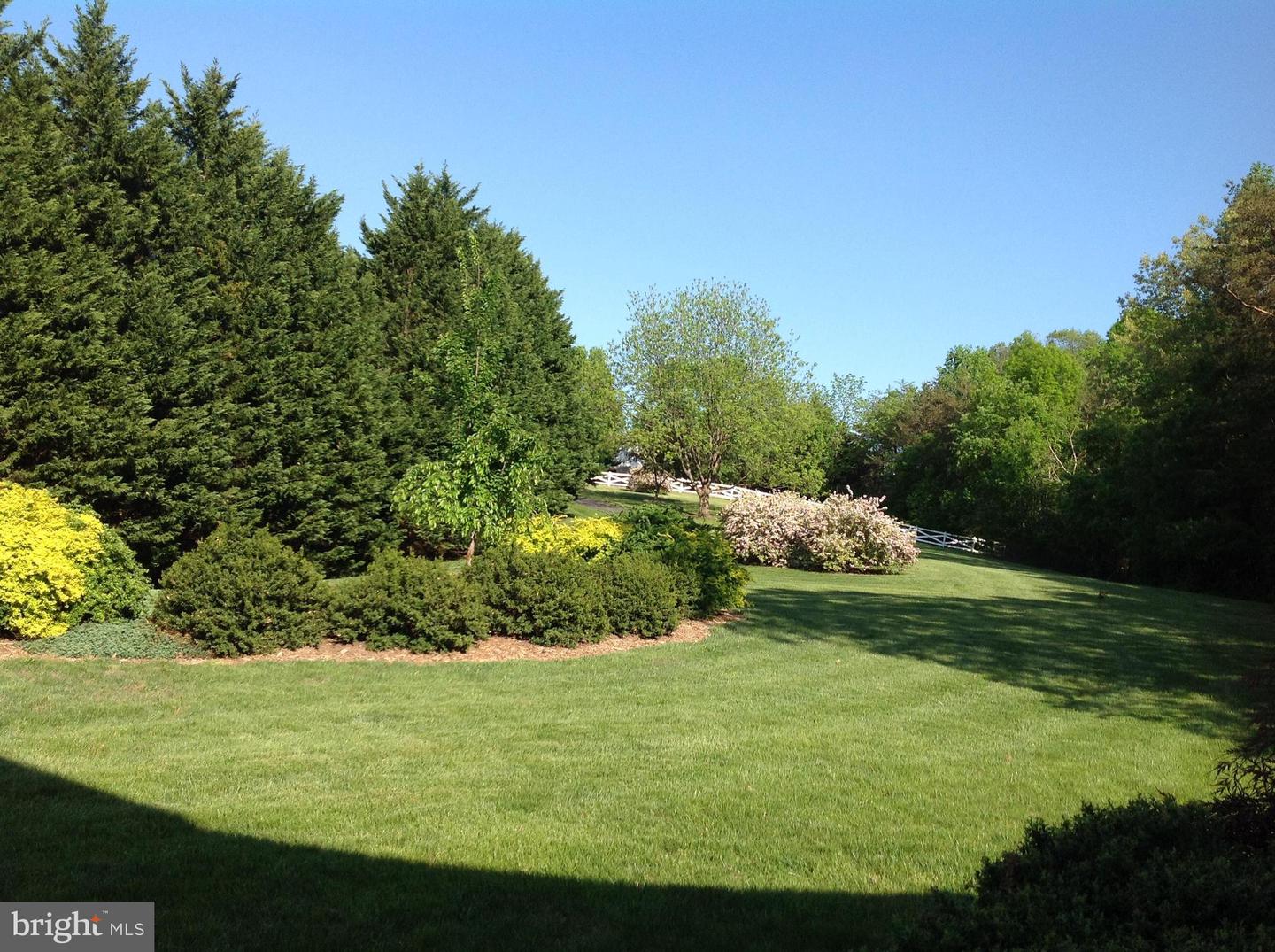 12520 PAIGE LN, FREDERICKSBURG, Virginia 22407, 4 Bedrooms Bedrooms, ,3 BathroomsBathrooms,Residential,For sale,12520 PAIGE LN,VASP2034090 MLS # VASP2034090