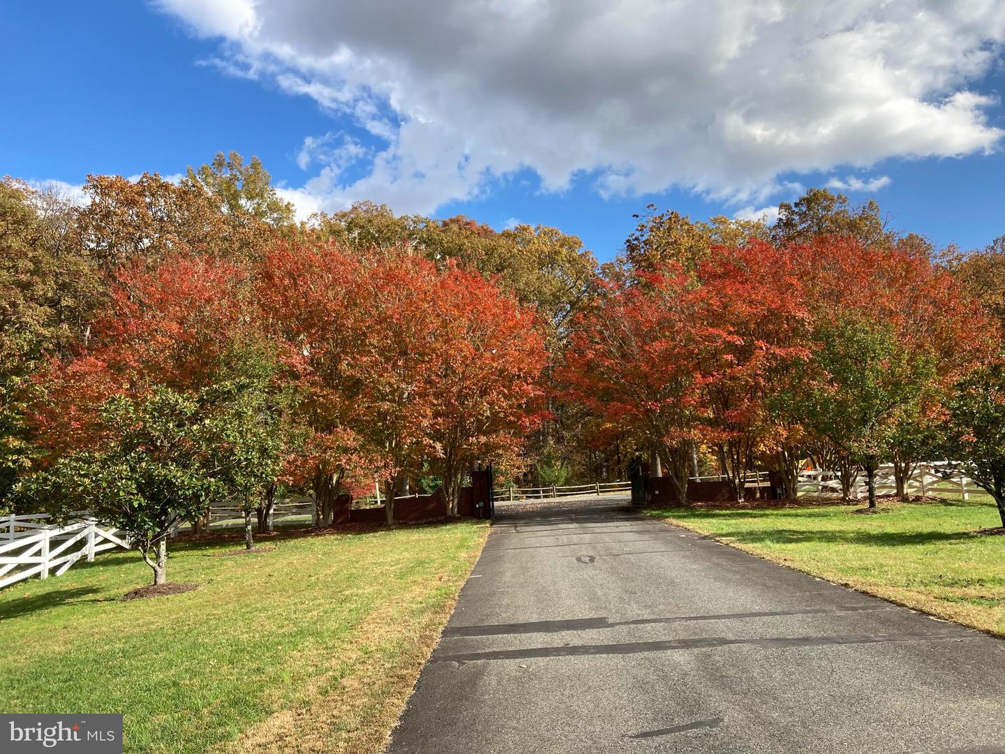 12520 PAIGE LN, FREDERICKSBURG, Virginia 22407, 4 Bedrooms Bedrooms, ,3 BathroomsBathrooms,Residential,For sale,12520 PAIGE LN,VASP2034090 MLS # VASP2034090