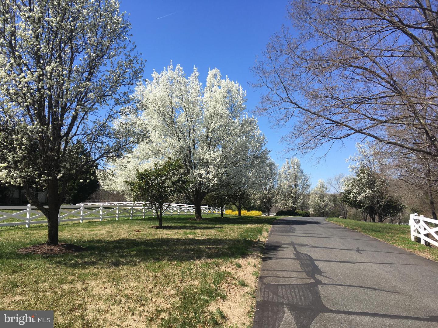 12520 PAIGE LN, FREDERICKSBURG, Virginia 22407, 4 Bedrooms Bedrooms, ,3 BathroomsBathrooms,Residential,For sale,12520 PAIGE LN,VASP2034090 MLS # VASP2034090