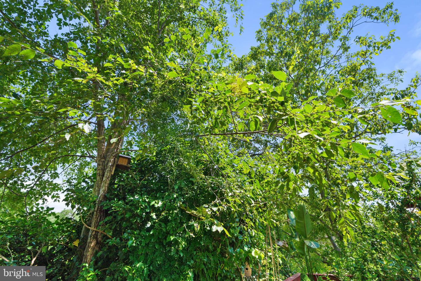720 S KENT ST, WINCHESTER, Virginia 22601, 4 Bedrooms Bedrooms, ,2 BathroomsBathrooms,Residential,For sale,720 S KENT ST,VAWI2008008 MLS # VAWI2008008