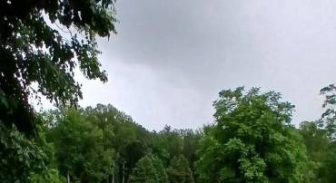 14239 NELSON HILL RD, MILFORD, Virginia 22514, 3 Bedrooms Bedrooms, ,2 BathroomsBathrooms,Residential,For sale,14239 NELSON HILL RD,VACV2008410 MLS # VACV2008410