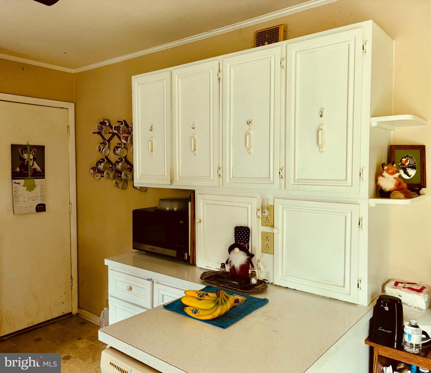12101 GREENWOOD RD, ORANGE, Virginia 22960, 3 Bedrooms Bedrooms, ,2 BathroomsBathrooms,Residential,For sale,12101 GREENWOOD RD,VAOR2010052 MLS # VAOR2010052