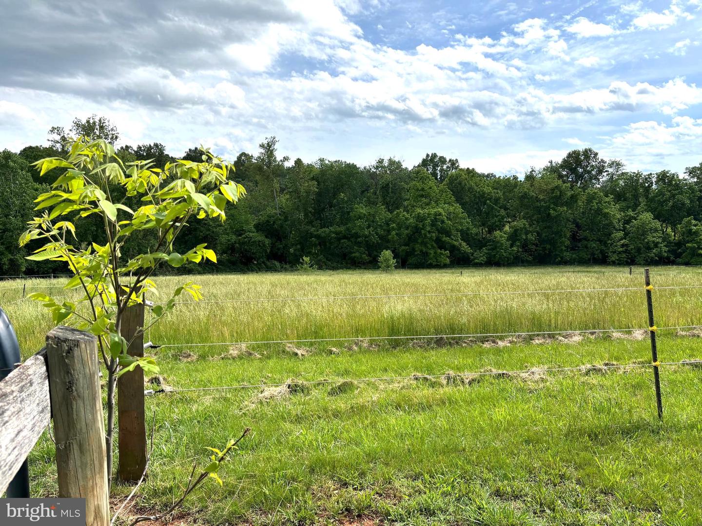 12101 GREENWOOD RD, ORANGE, Virginia 22960, 3 Bedrooms Bedrooms, ,2 BathroomsBathrooms,Residential,For sale,12101 GREENWOOD RD,VAOR2010052 MLS # VAOR2010052