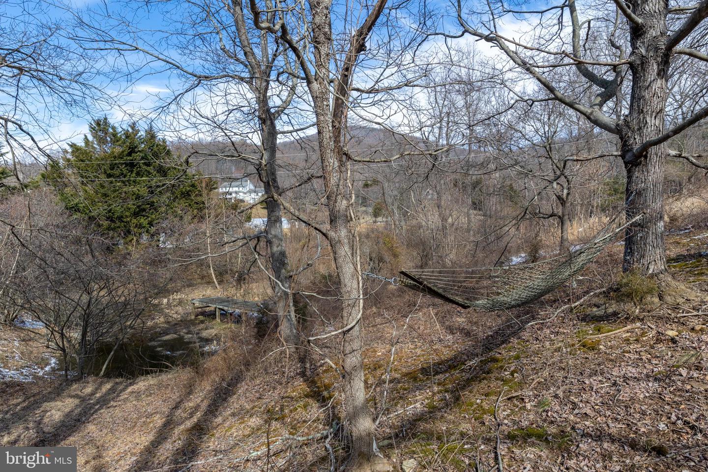 165 BROKENBACK MOUNTAIN RD, FREE UNION, Virginia 22940, 6 Bedrooms Bedrooms, ,3 BathroomsBathrooms,Residential,For sale,165 BROKENBACK MOUNTAIN RD,VAGR2000730 MLS # VAGR2000730