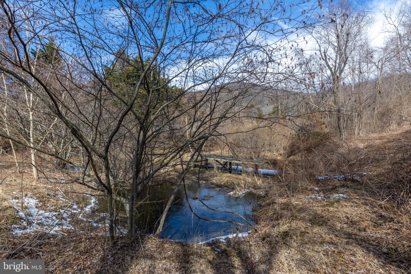 165 BROKENBACK MOUNTAIN RD, FREE UNION, Virginia 22940, 6 Bedrooms Bedrooms, ,3 BathroomsBathrooms,Residential,For sale,165 BROKENBACK MOUNTAIN RD,VAGR2000730 MLS # VAGR2000730