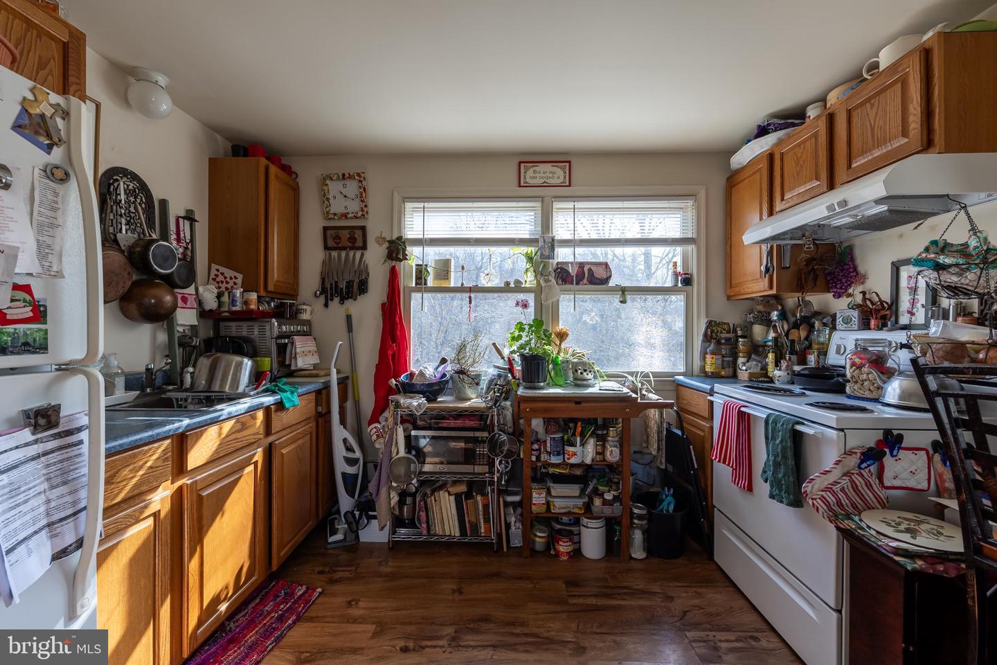 165 BROKENBACK MOUNTAIN RD, FREE UNION, Virginia 22940, 6 Bedrooms Bedrooms, ,3 BathroomsBathrooms,Residential,For sale,165 BROKENBACK MOUNTAIN RD,VAGR2000730 MLS # VAGR2000730