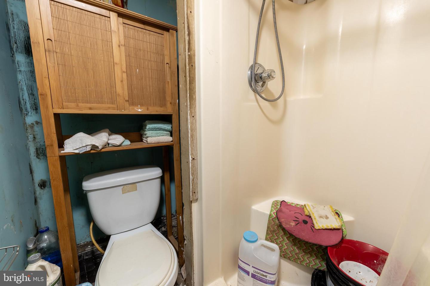 165 BROKENBACK MOUNTAIN RD, FREE UNION, Virginia 22940, 6 Bedrooms Bedrooms, ,3 BathroomsBathrooms,Residential,For sale,165 BROKENBACK MOUNTAIN RD,VAGR2000730 MLS # VAGR2000730