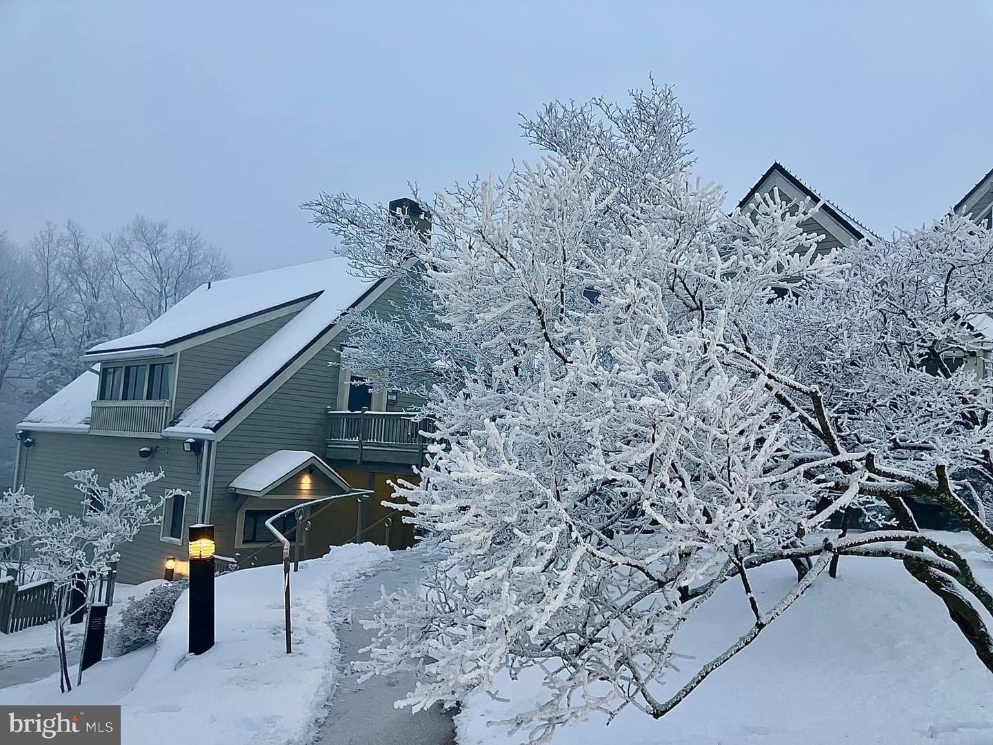 203 TIMBERS, WINTERGREEN, Virginia 22967, 1 Bedroom Bedrooms, 2 Rooms Rooms,1 BathroomBathrooms,Residential,For sale,203 TIMBERS,VANL2000576 MLS # VANL2000576