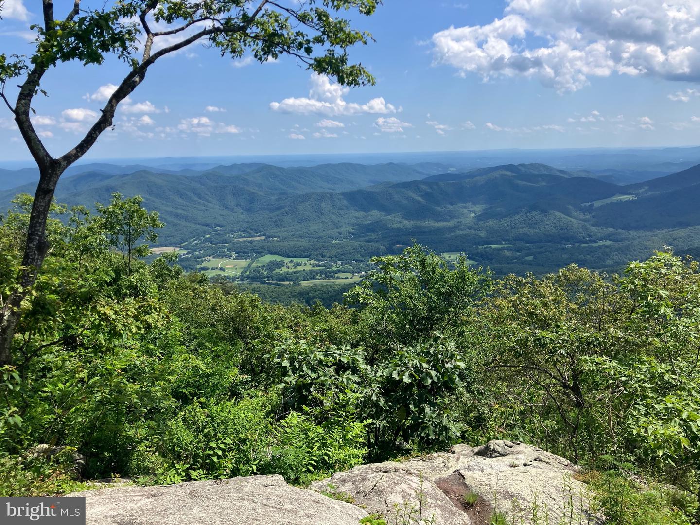 203 TIMBERS, WINTERGREEN, Virginia 22967, 1 Bedroom Bedrooms, 2 Rooms Rooms,1 BathroomBathrooms,Residential,For sale,203 TIMBERS,VANL2000576 MLS # VANL2000576
