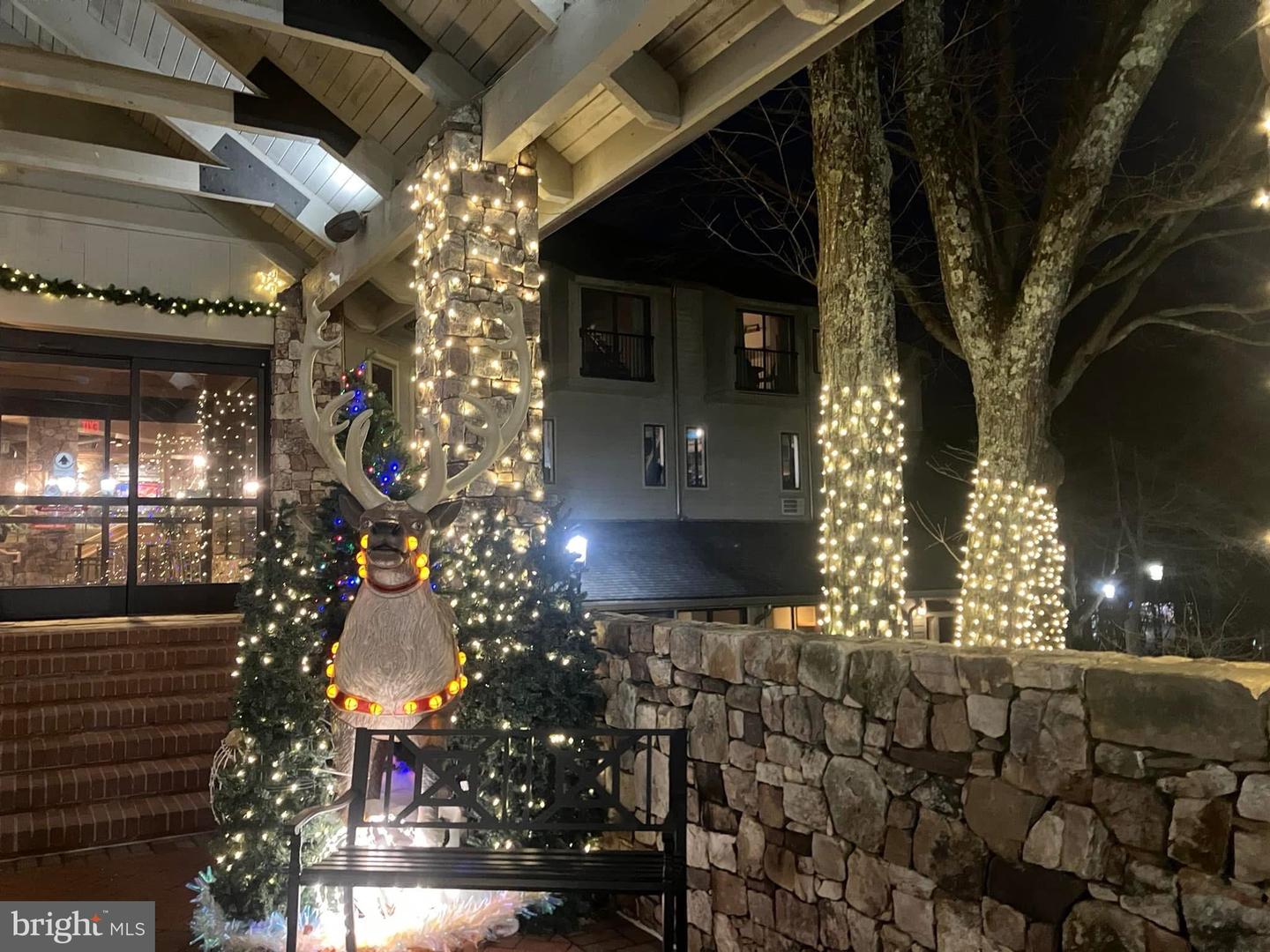 203 TIMBERS, WINTERGREEN, Virginia 22967, 1 Bedroom Bedrooms, 2 Rooms Rooms,1 BathroomBathrooms,Residential,For sale,203 TIMBERS,VANL2000576 MLS # VANL2000576