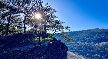 203 TIMBERS, WINTERGREEN, Virginia 22967, 1 Bedroom Bedrooms, 2 Rooms Rooms,1 BathroomBathrooms,Residential,For sale,203 TIMBERS,VANL2000576 MLS # VANL2000576