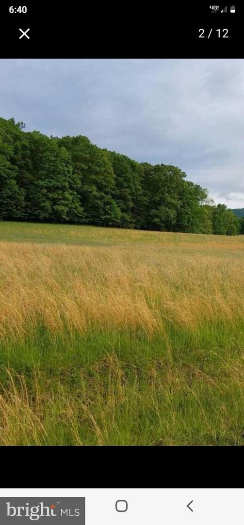 55 CAHILL LN, NEW CASTLE, Virginia 24127, ,Land,For sale,55 CAHILL LN,VACR2000002 MLS # VACR2000002