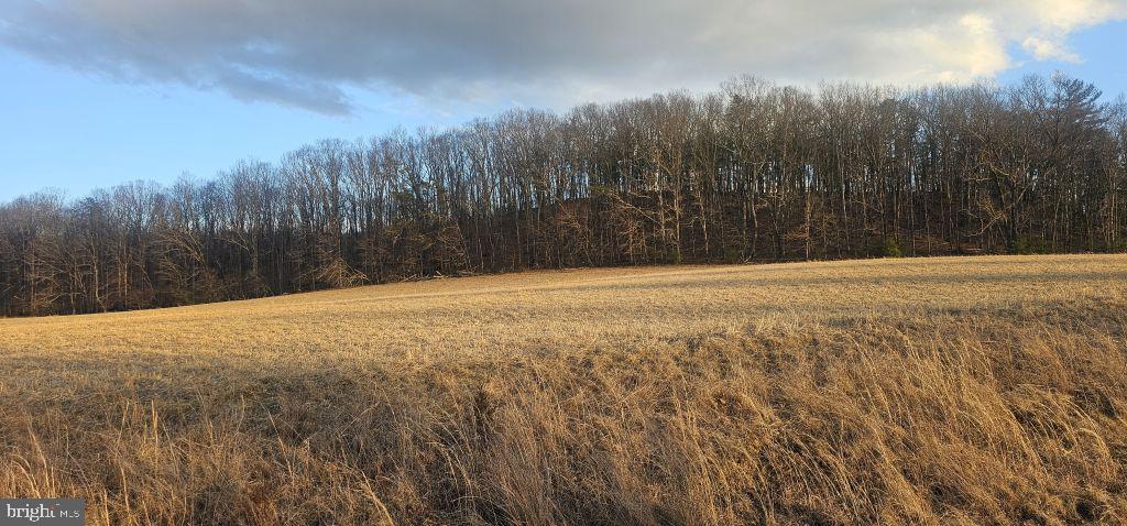 55 CAHILL LN, NEW CASTLE, Virginia 24127, ,Land,For sale,55 CAHILL LN,VACR2000002 MLS # VACR2000002