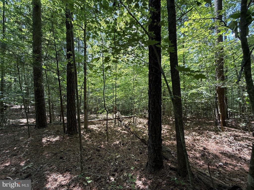 LOTS 37, 38, 39 FIELD TRAIL RD, LANCASTER, Virginia 22503, ,Farm,For sale,LOTS 37, 38, 39 FIELD TRAIL RD,VALV2000844 MLS # VALV2000844