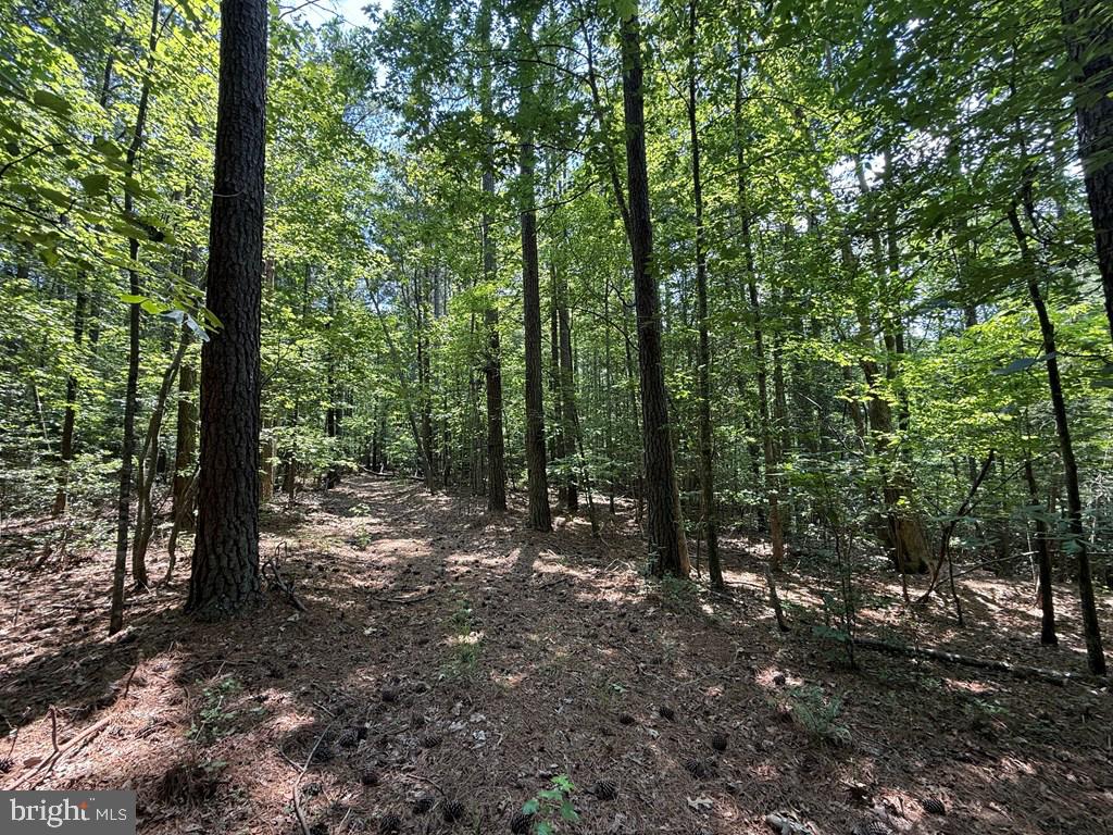 LOTS 37, 38, 39 FIELD TRAIL RD, LANCASTER, Virginia 22503, ,Farm,For sale,LOTS 37, 38, 39 FIELD TRAIL RD,VALV2000844 MLS # VALV2000844