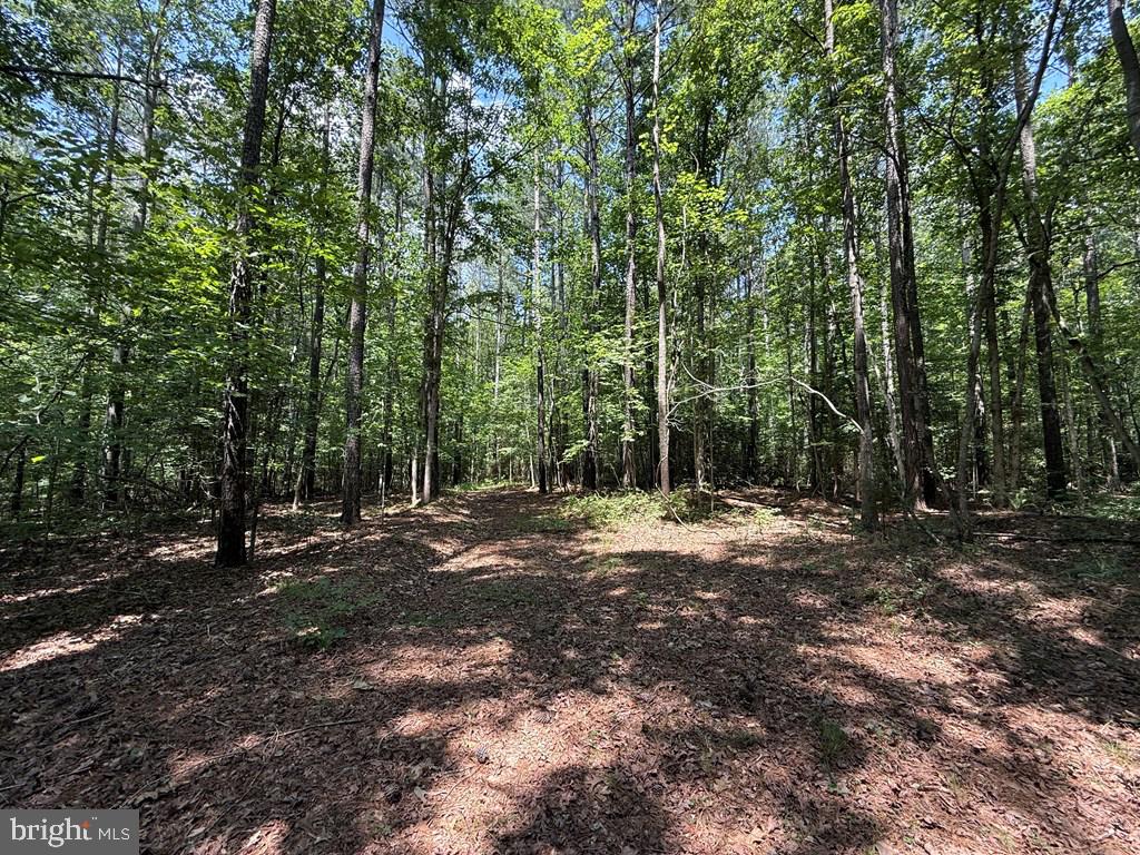 LOTS 37, 38, 39 FIELD TRAIL RD, LANCASTER, Virginia 22503, ,Farm,For sale,LOTS 37, 38, 39 FIELD TRAIL RD,VALV2000844 MLS # VALV2000844