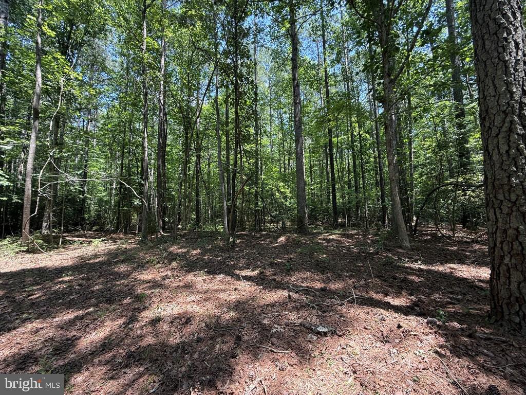 LOTS 37, 38, 39 FIELD TRAIL RD, LANCASTER, Virginia 22503, ,Farm,For sale,LOTS 37, 38, 39 FIELD TRAIL RD,VALV2000844 MLS # VALV2000844
