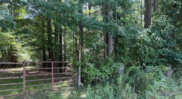 LOTS 37, 38, 39 FIELD TRAIL RD, LANCASTER, Virginia 22503, ,Farm,For sale,LOTS 37, 38, 39 FIELD TRAIL RD,VALV2000844 MLS # VALV2000844
