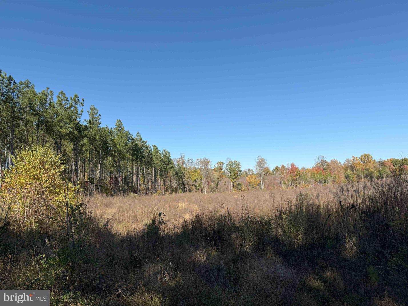 WOODFORK ROAD (RT. 650) (TRACT ROGERS-4), CHARLOTTE COURT HOUSE, Virginia 23923, ,Farm,For sale,WOODFORK ROAD (RT. 650) (TRACT ROGERS-4),VACE2000026 MLS # VACE2000026
