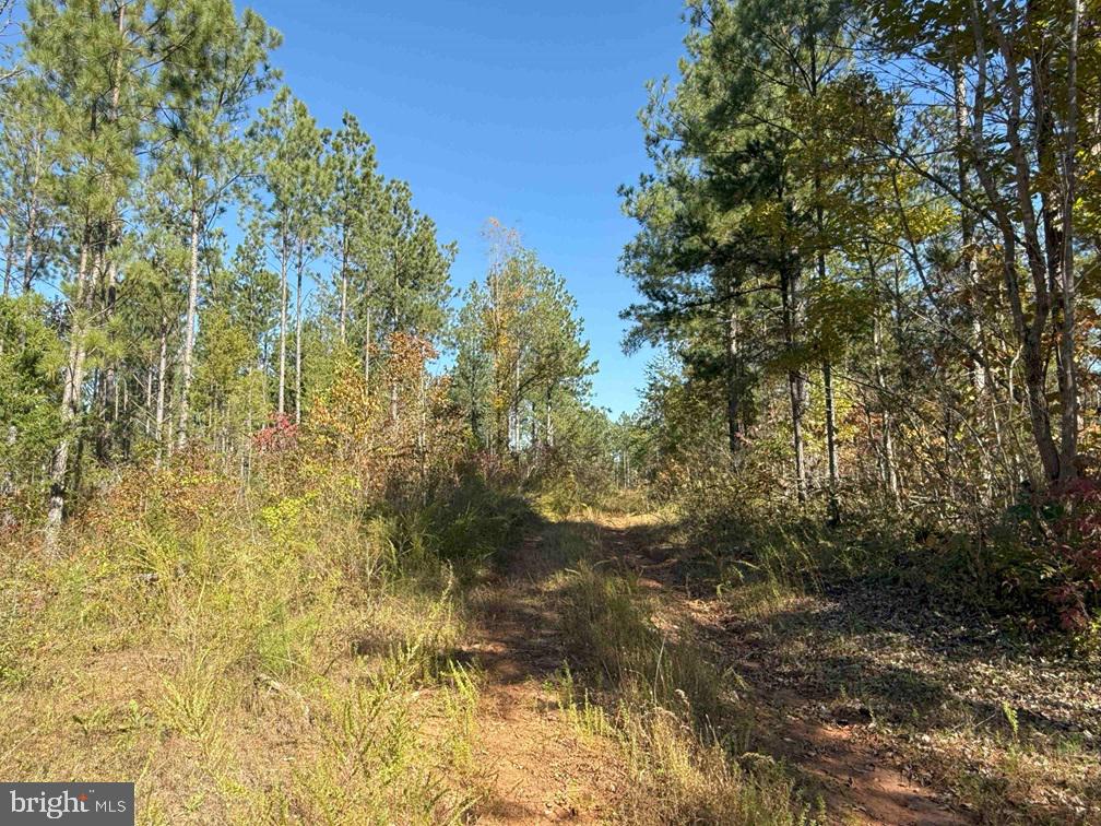 WOODFORK ROAD (RT. 650) (TRACT ROGERS-4), CHARLOTTE COURT HOUSE, Virginia 23923, ,Farm,For sale,WOODFORK ROAD (RT. 650) (TRACT ROGERS-4),VACE2000026 MLS # VACE2000026