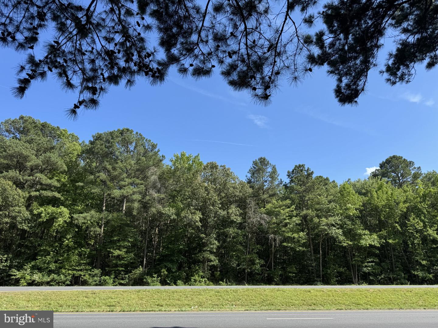 LOTS 76, 76B AND 76C LANKFORD HWY, ACCOMAC, Virginia 23301, ,Land,For sale,LOTS 76, 76B AND 76C LANKFORD HWY,VAAC2002014 MLS # VAAC2002014