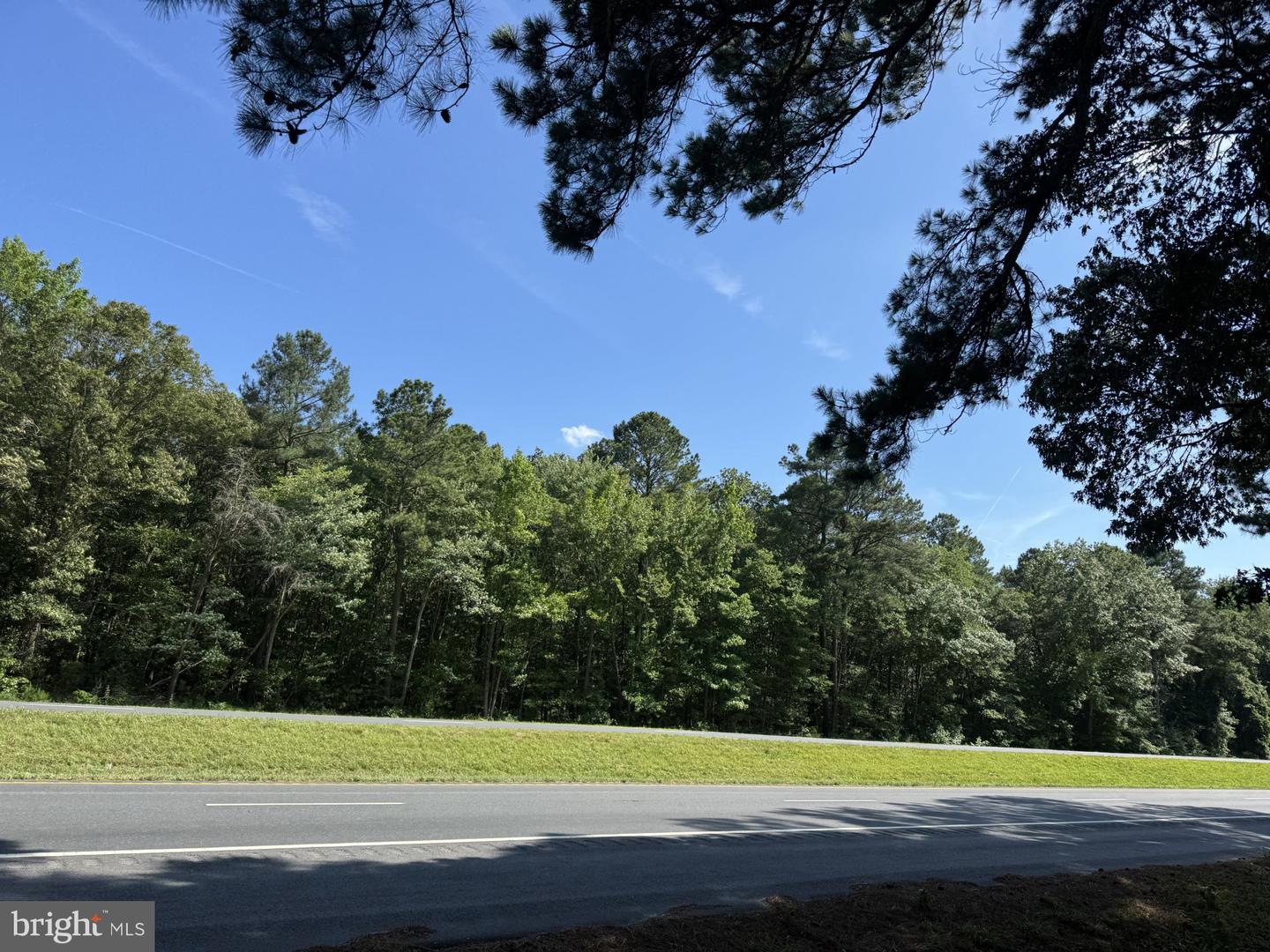 LOTS 76, 76B AND 76C LANKFORD HWY, ACCOMAC, Virginia 23301, ,Land,For sale,LOTS 76, 76B AND 76C LANKFORD HWY,VAAC2002014 MLS # VAAC2002014