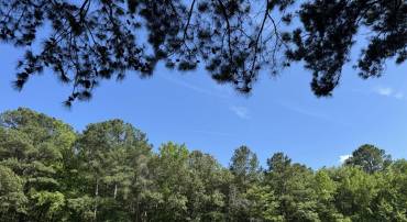 LOTS 76, 76B AND 76C LANKFORD HWY, ACCOMAC, Virginia 23301, ,Land,For sale,LOTS 76, 76B AND 76C LANKFORD HWY,VAAC2002014 MLS # VAAC2002014
