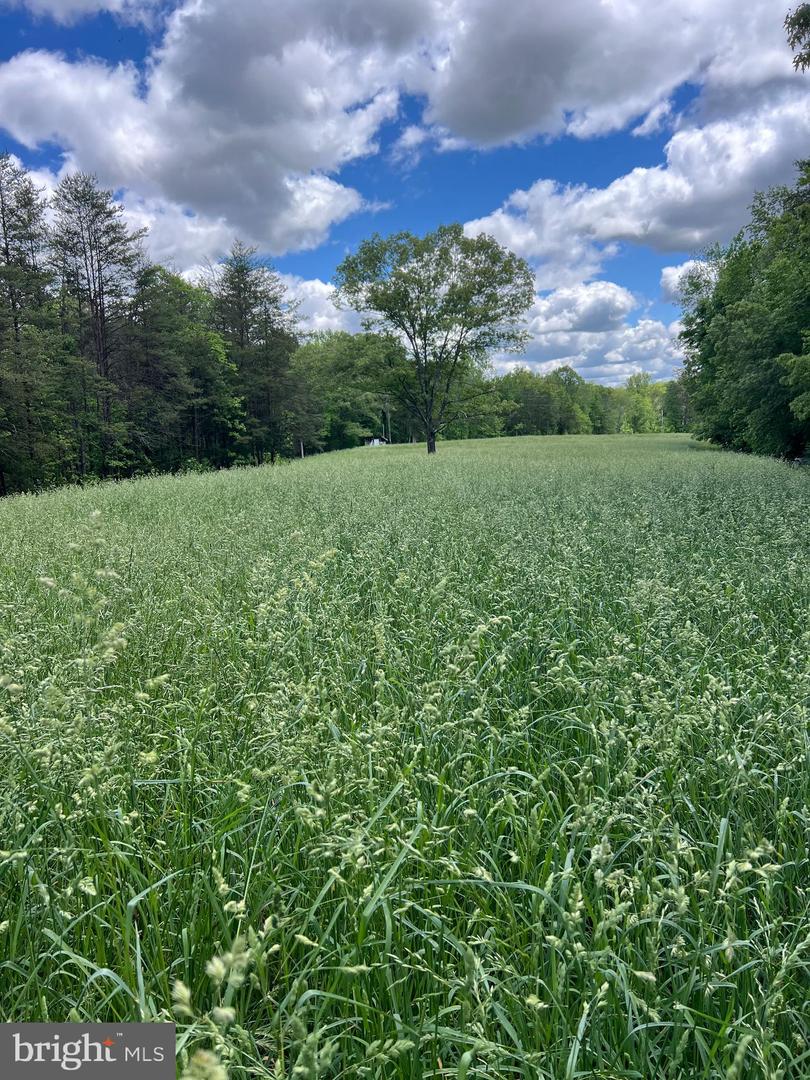 2617 WARRENTON RD, FREDERICKSBURG, Virginia 22406, ,Land,For sale,2617 WARRENTON RD,VAST2040570 MLS # VAST2040570