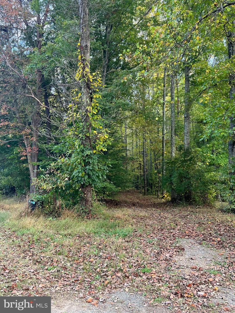 2617 WARRENTON RD, FREDERICKSBURG, Virginia 22406, ,Land,For sale,2617 WARRENTON RD,VAST2040570 MLS # VAST2040570