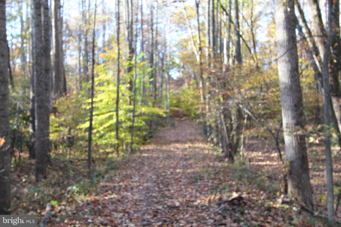 2617 WARRENTON RD, FREDERICKSBURG, Virginia 22406, ,Land,For sale,2617 WARRENTON RD,VAST2040570 MLS # VAST2040570