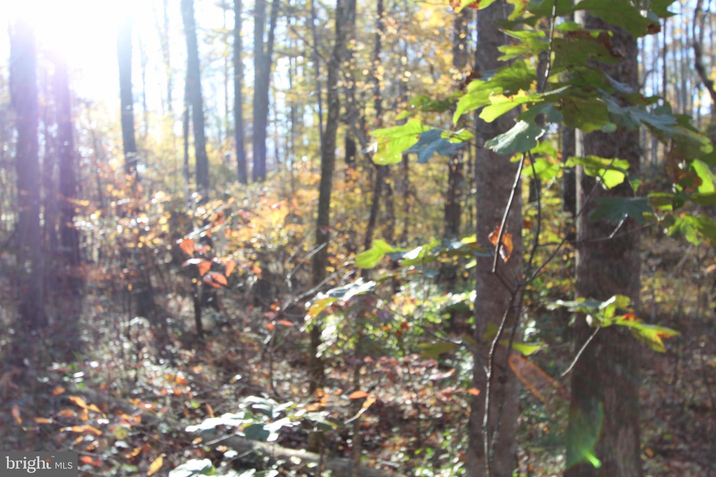 2617 WARRENTON RD, FREDERICKSBURG, Virginia 22406, ,Land,For sale,2617 WARRENTON RD,VAST2040570 MLS # VAST2040570