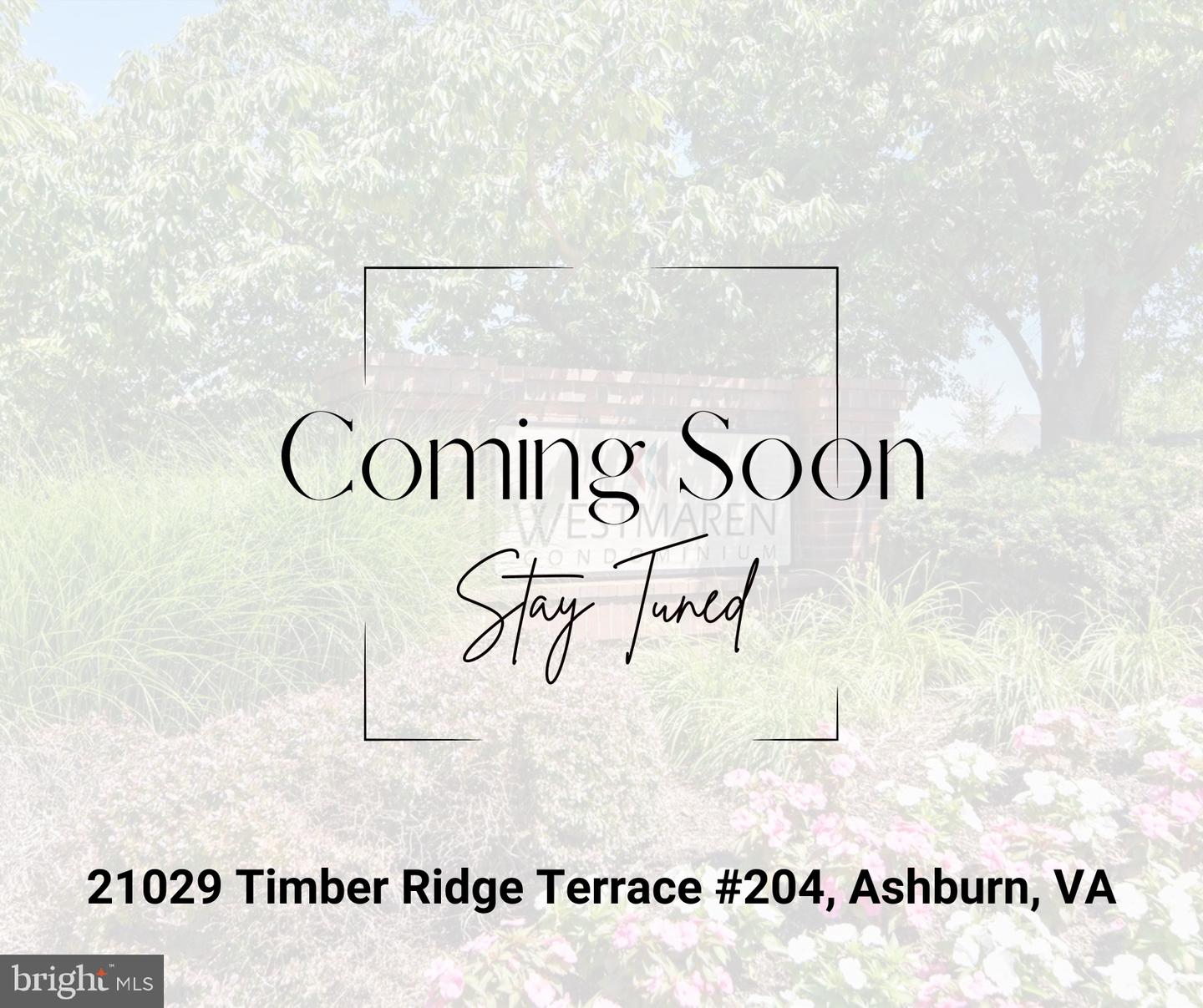 21029 TIMBER RIDGE TER #204, ASHBURN, Virginia 20147, 2 Bedrooms Bedrooms, ,1 BathroomBathrooms,Residential,For sale,21029 TIMBER RIDGE TER #204,VALO2099970 MLS # VALO2099970