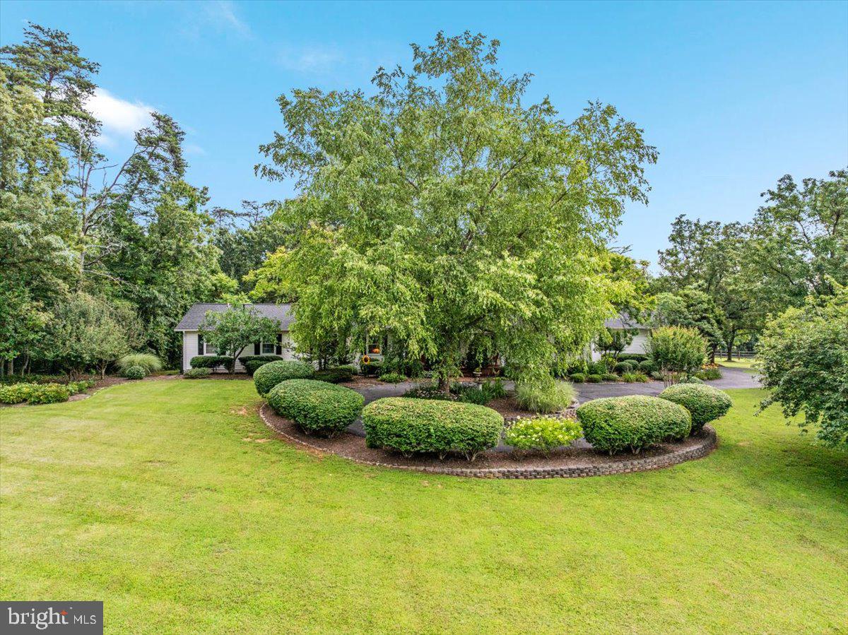 10095 FOX HOUND DR, NOKESVILLE, Virginia 20181, 4 Bedrooms Bedrooms, ,3 BathroomsBathrooms,Residential,For sale,10095 FOX HOUND DR,VAPW2097660 MLS # VAPW2097660