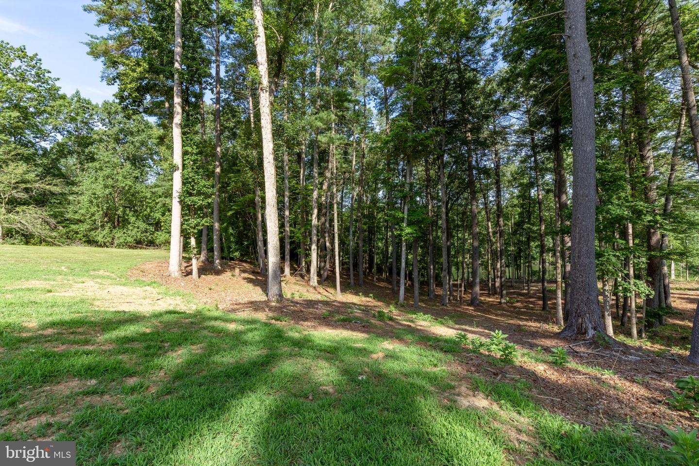 13250 HARBOR DR, ORANGE, Virginia 22960, 3 Bedrooms Bedrooms, ,2 BathroomsBathrooms,Residential,For sale,13250 HARBOR DR,VAOR2010066 MLS # VAOR2010066