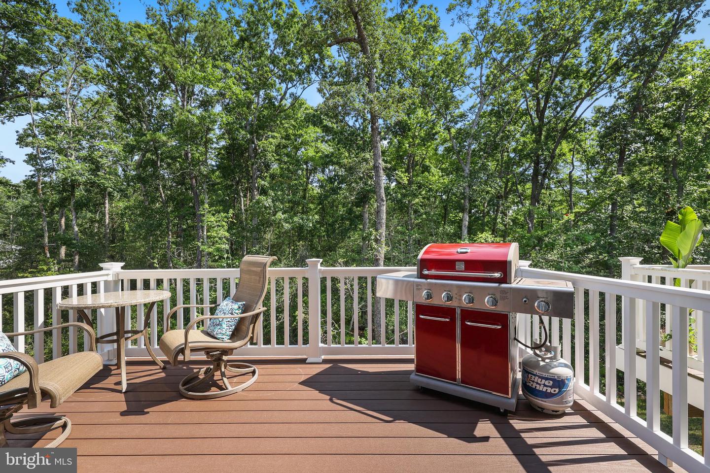 7195 POTOMAC TER, RUTHER GLEN, Virginia 22546, 3 Bedrooms Bedrooms, ,2 BathroomsBathrooms,Residential,For sale,7195 POTOMAC TER,VACV2008446 MLS # VACV2008446