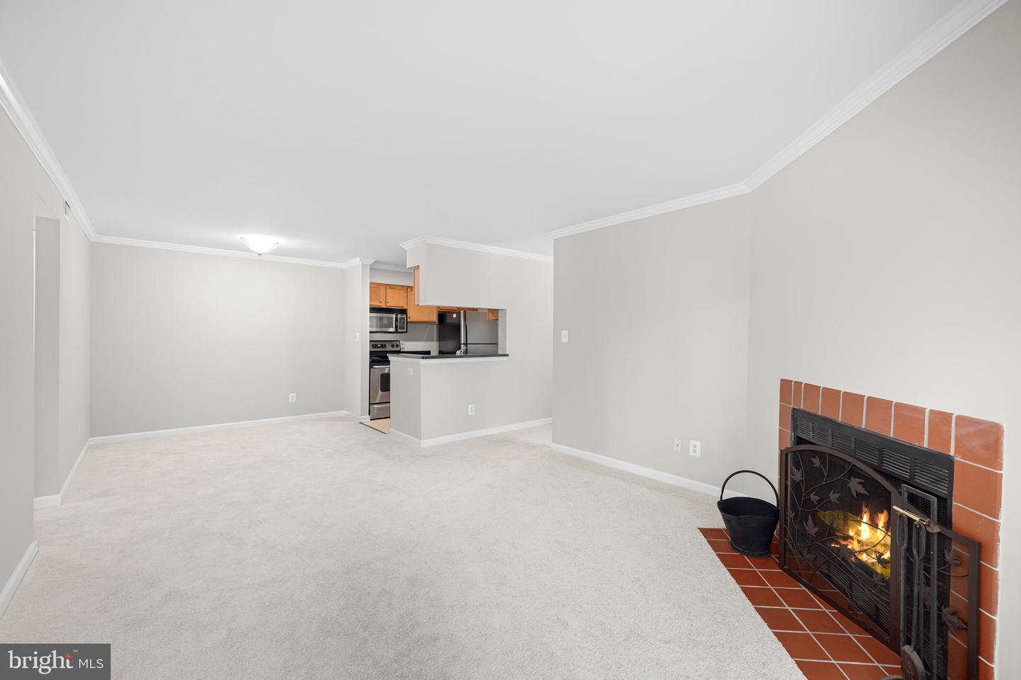 1705-C ASCOT WAY, RESTON, Virginia 20190, 2 Bedrooms Bedrooms, ,2 BathroomsBathrooms,Residential,For sale,1705-C ASCOT WAY,VAFX2253192 MLS # VAFX2253192
