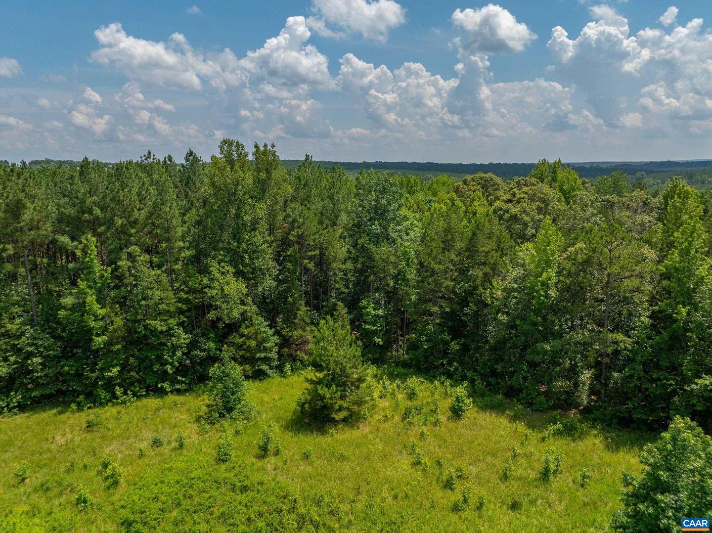 1566 GEORGES MILL RD, PALMYRA, Virginia 22963, 4 Bedrooms Bedrooms, ,2 BathroomsBathrooms,Residential,For sale,1566 GEORGES MILL RD,666452 MLS # 666452